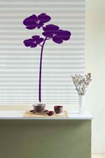 Stick On Store : La dco express - Orchid Violet